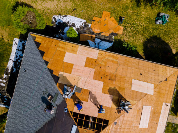 Best Roof Gutter Cleaning  in Egan, LA