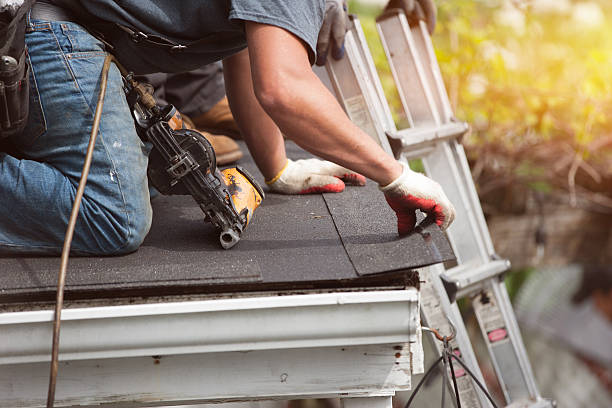 Best Shingle Roofing Installation  in Egan, LA